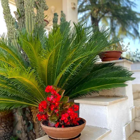 Sere & Garden Appartement Sannicandro di Bari